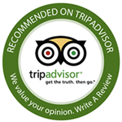 tripadvisor-logo-11